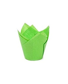 Papilotki tulipany ZIELONE 180 szt