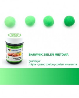 Barwnik w żelu Food Colours ZIELONY MIĘTOWY