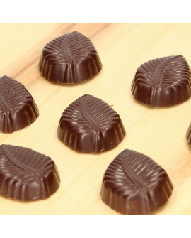 Form für FC Leaf Pralinen