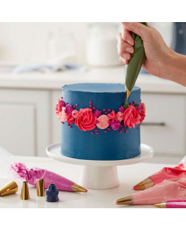 Wilton GOLD TICKETS Set + Taschen und Adapter 17 Stück