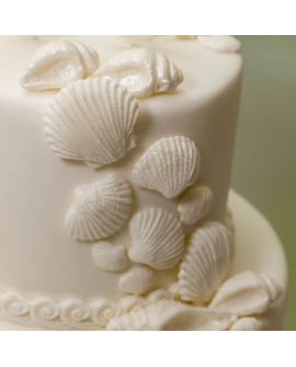 Forma silikonowa Katy Sue MUSZLE Seashells