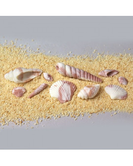 Forma silikonowa Katy Sue MUSZLE Seashells