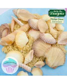 Forma silikonowa Katy Sue MUSZLE Seashells