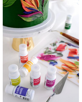 Barwnik olejowy Colour Mill 20ml FUCHSIA