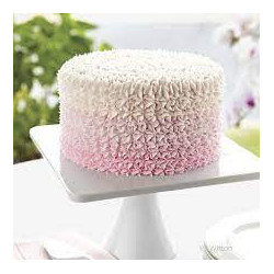 LARGE No. 2D Wilton flower star closed, rose