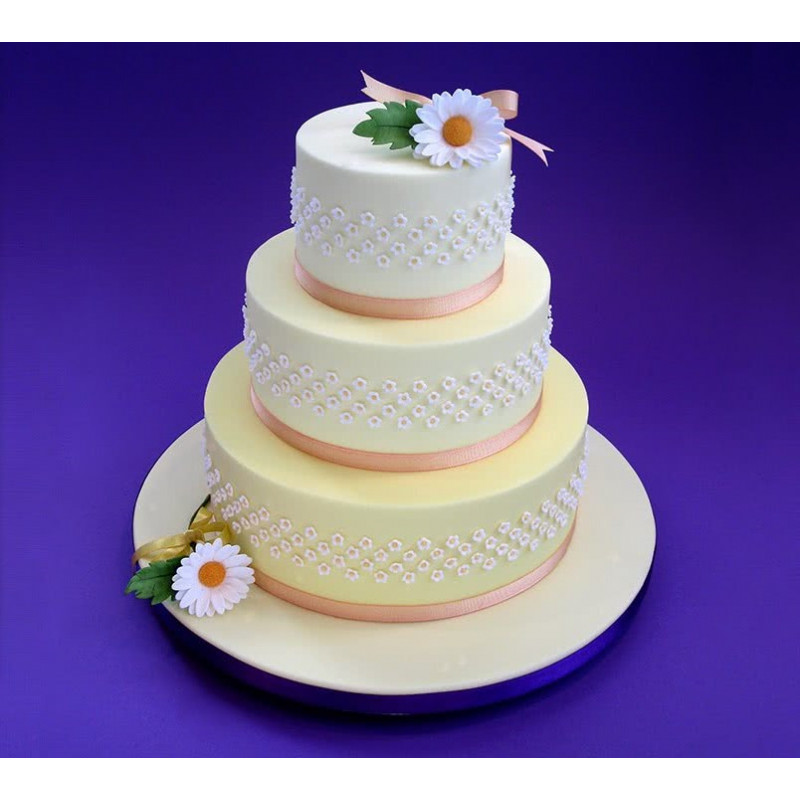 FMM impression cutter - Ribbon 1