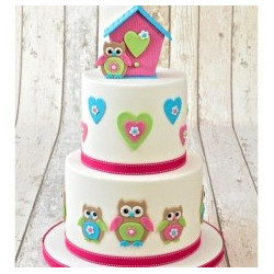 FMM EYE PUNCHES 2 sizes Mould Owl Punch-outs Owl