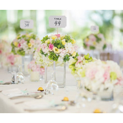 Sweet-Table-Schilder WHITE 4 Stk. Vignetten-Karten
