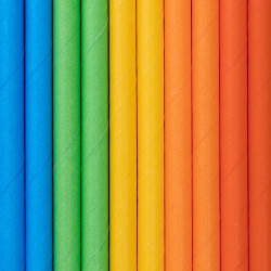 10 bunte Papierstrohhalme