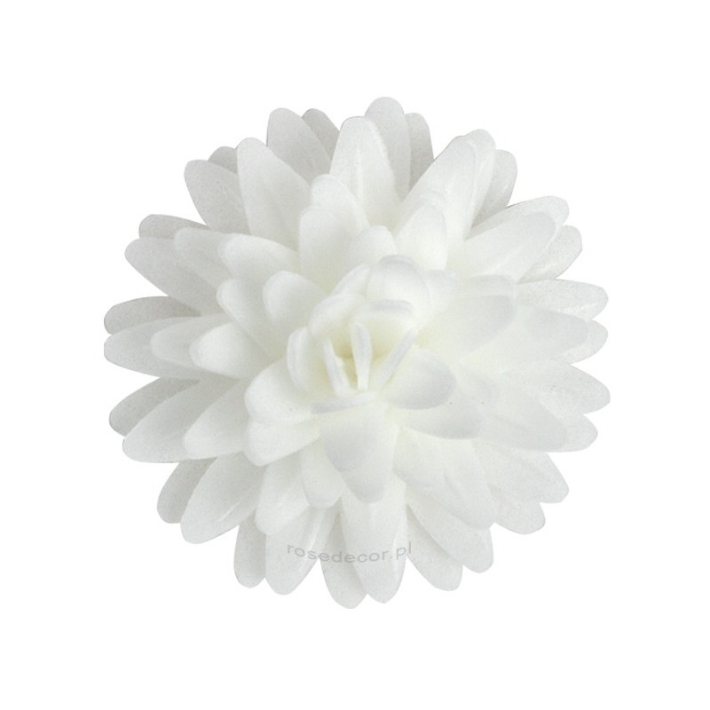 FLOWER WITH WAVE Pompom daisy WHITE12 pcs.