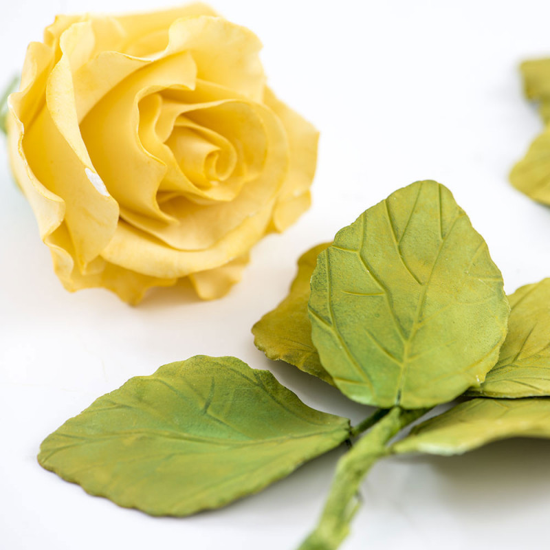 Decora Rose Leaves mold 4 pcs.