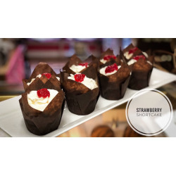 Tulip cupcake liners BLACK 180 pcs.