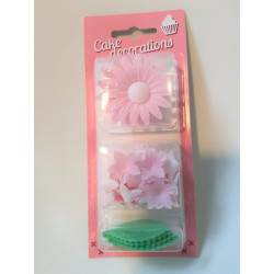 FLOWERS FROM THE FLOWER rosa mit Waffelblättern Unforgettable + Mini
