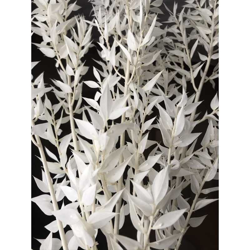 Suszone kwiaty Ozdoba na tort Suszki Ruskus bielony