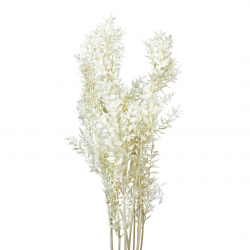 Suszone kwiaty Ozdoba na tort Suszki Ruskus bielony