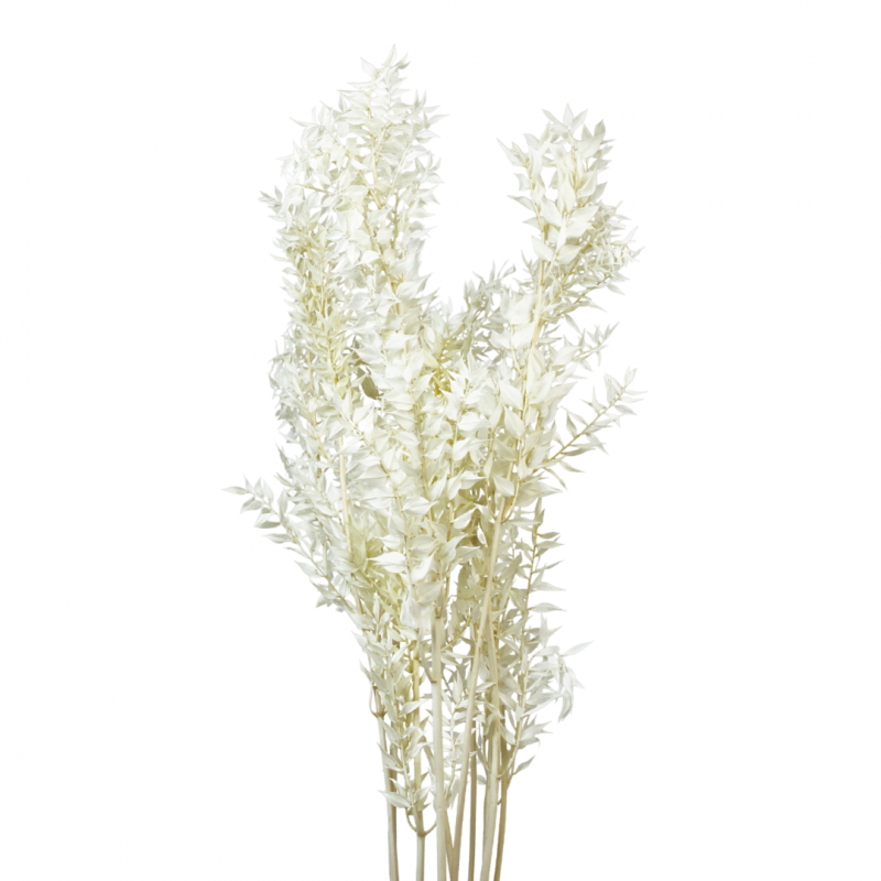 Suszone kwiaty Ozdoba na tort Suszki Ruskus bielony