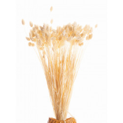 Topper LOVE - gold Tortendeko Topper LOVE - gold Tortendeko