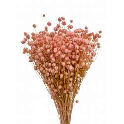 Suszone kwiaty Ozdoba na tort Suszki Len jasny róż 10 gałązek