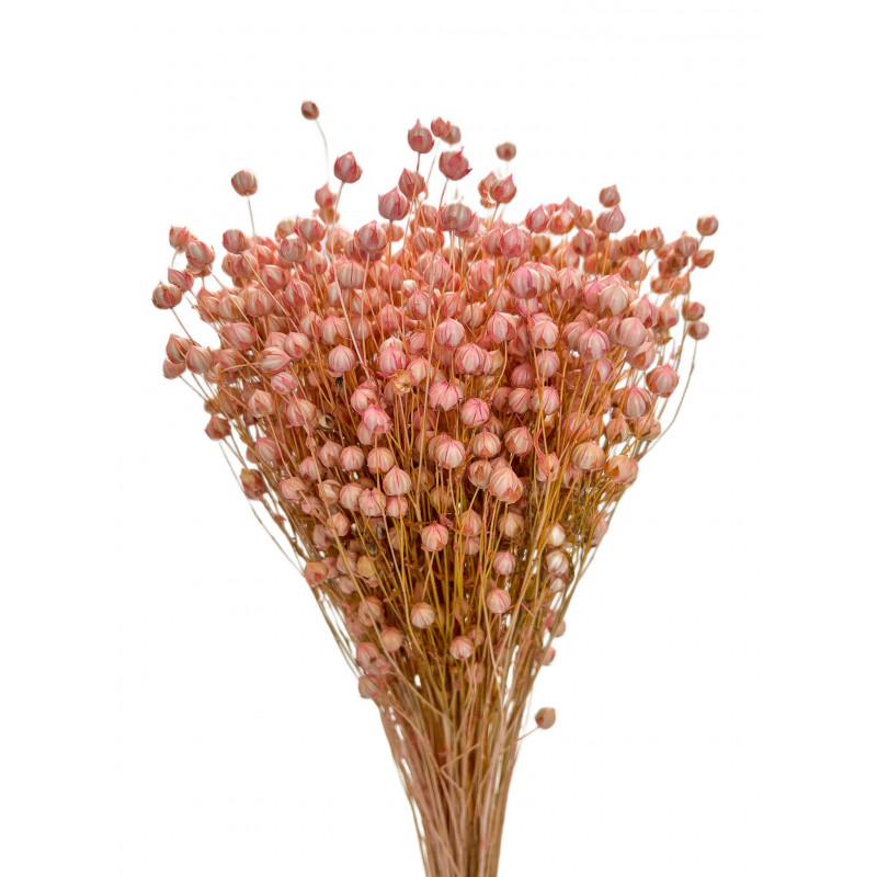 Suszone kwiaty Ozdoba na tort Suszki Len jasny róż 10 gałązek