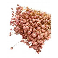 Suszone kwiaty Ozdoba na tort Suszki LEN jasny róż 10 gałązek