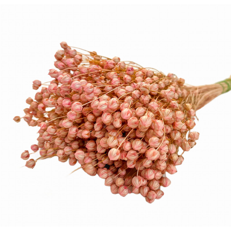 Suszone kwiaty Ozdoba na tort Suszki Len jasny róż 10 gałązek