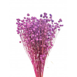 Suszone kwiaty Ozdoba na tort Suszki Len fiolet 10 gałązek
