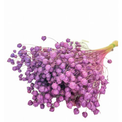 Suszone kwiaty Ozdoba na tort Suszki Len fiolet 10 gałązek