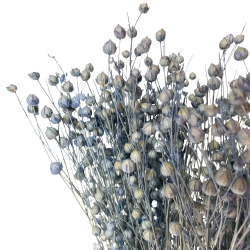 Suszone kwiaty Ozdoba na tort Suszki Len denim 10 gałązek