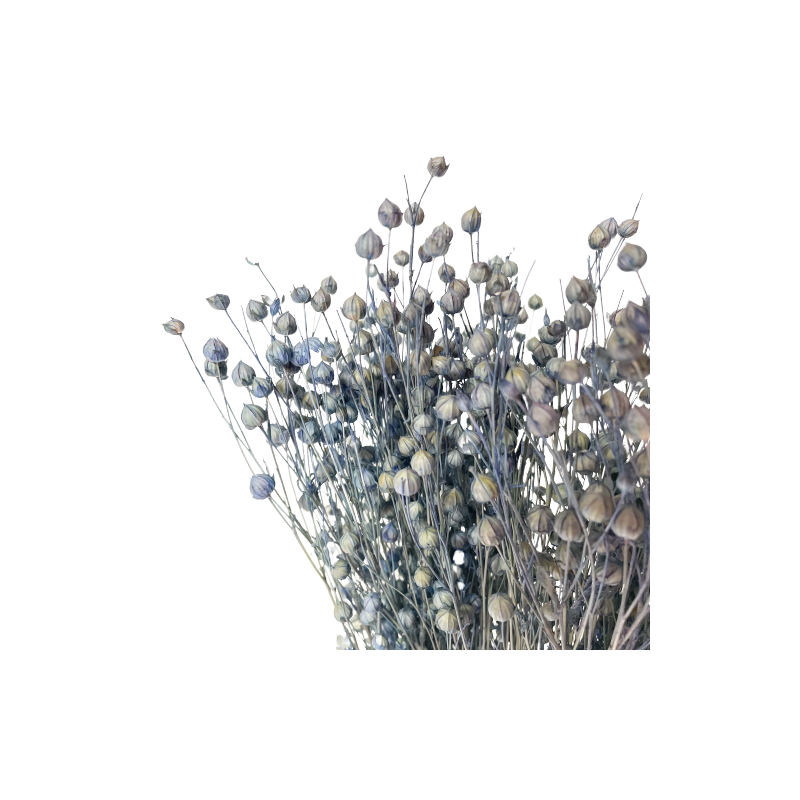 Suszone kwiaty Ozdoba na tort Suszki Len denim 10 gałązek