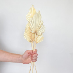 Suszone kwiaty Ozdoba na tort Suszki Palma Strzałka bielona 1 szt
