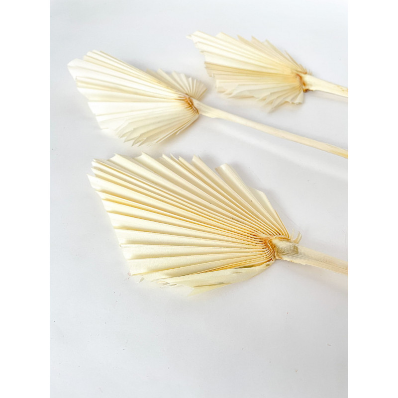 Suszone kwiaty Ozdoba na tort Suszki Palma Strzałka bielona 1 szt