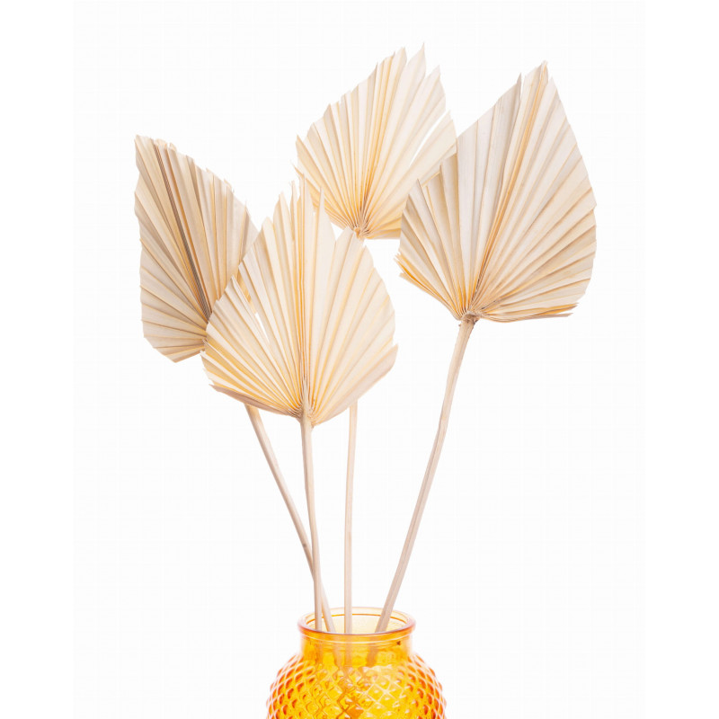 Suszone kwiaty Ozdoba na tort Suszki Palma Strzałka bielona 1 szt