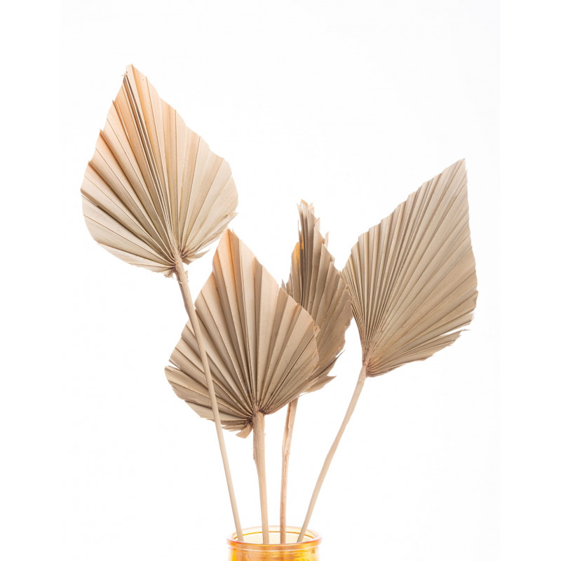 Suszone kwiaty Ozdoba na tort Suszki Palma Strzałka naturalna 1 szt