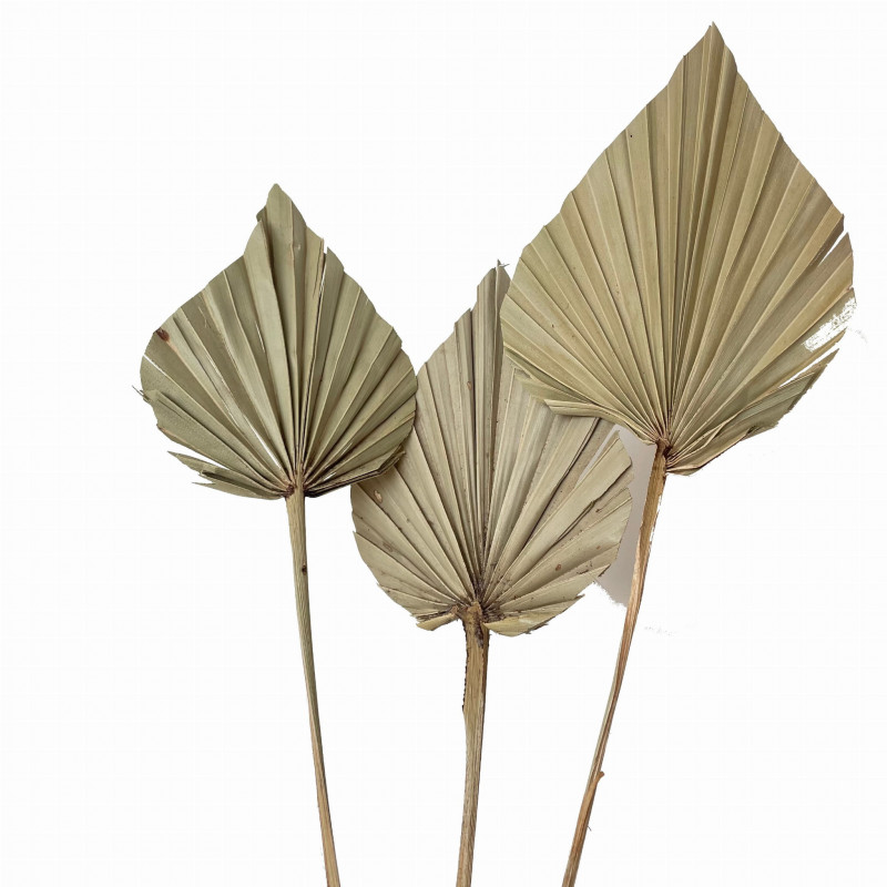 Suszone kwiaty Ozdoba na tort Suszki Palma Strzałka naturalna 1 szt