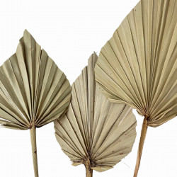 Suszone kwiaty Ozdoba na tort Suszki PALMA STRZAŁKA naturalna 1 szt