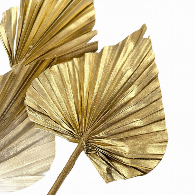 Suszone kwiaty Ozdoba na tort Suszki Palma Strzałka złota 1 szt
