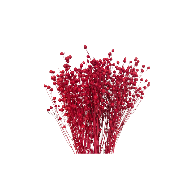 Suszone kwiaty Ozdoba na tort Suszki LEN czerwony 10 gałązek