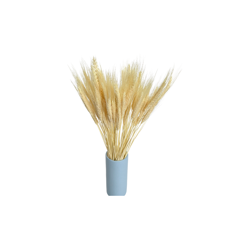Suszone kwiaty Ozdoba na tort Suszki Pszenżyto bielone 20 gałązek Słomkowy