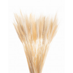 Suszone kwiaty Ozdoba na tort Suszki Pszenżyto bielone 20 gałązek...
