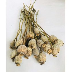 Topper LOVE - gold Tortendeko