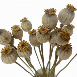 Topper LOVE - gold Tortendeko Topper LOVE - gold Tortendeko