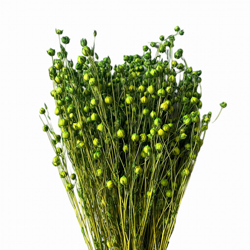 Getrocknete Blumen, Kuchendekoration, getrocknete Blumen, grüner Flachs, 10 Zweige