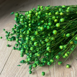 Getrocknete Blumen Kuchendekoration Dosen Flachs grün 10 Zweige