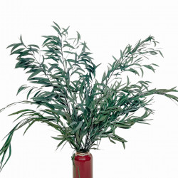 Suszone kwiaty Suszki Eukaliptus Nikoli zielony