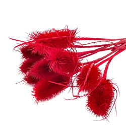 Suszone kwiaty Ozdoba na tort Suszki Oset czerwony 2 gałązki