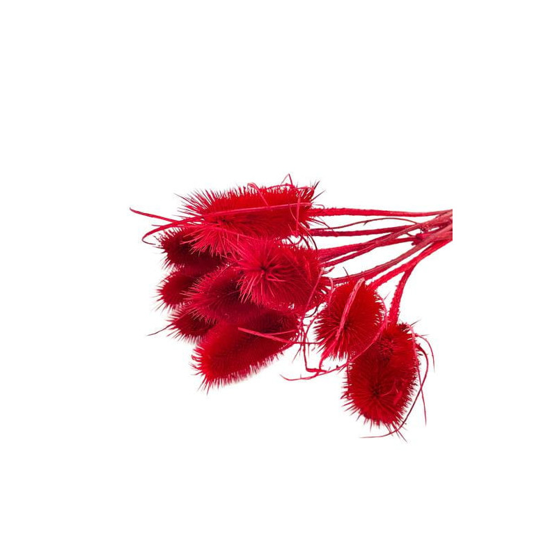 Suszone kwiaty Ozdoba na tort Suszki Oset czerwony 2 gałązki