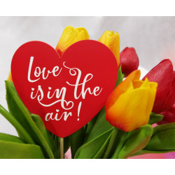 Topper Love is in the air 10 cm