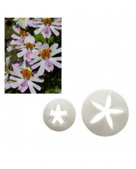 FMM Stempel - ORCHIDEA POOR MANS