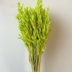 Getrocknete Blumen Kuchendekoration Lametta gebleicht 20 Zweige Getrocknete Blumen Kuchendekoration Lametta gebleicht 20 Zweige