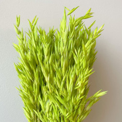 Getrocknete Blumen Kuchendekoration Lametta gebleicht 20 Zweige Getrocknete Blumen Kuchendekoration Lametta gebleicht 20 Zweige